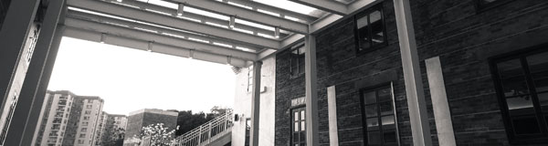 市场